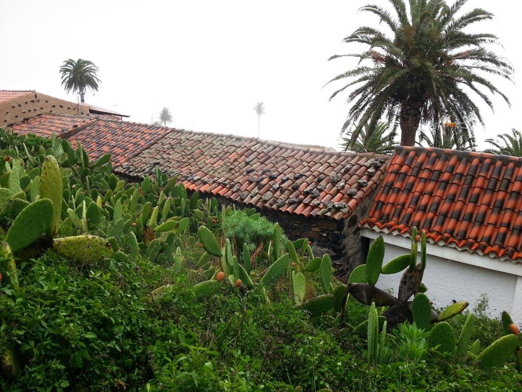 La Gomera - Tejiade - 2014
